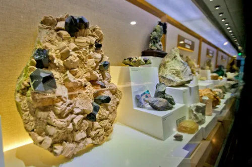 Treasures of the Earth