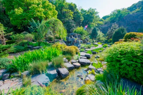 Medicinal Plant Garden