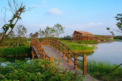 Dongtan Wetland Park - Shanghai Tourist Attraction