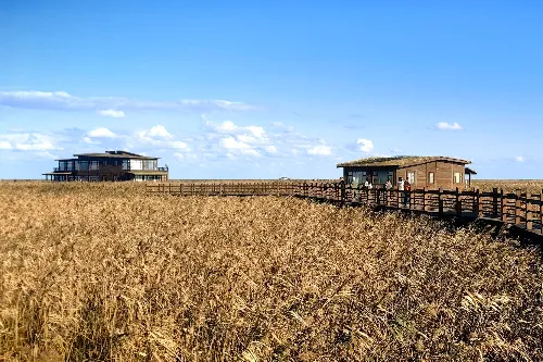 Yangtze River Estuary Tidal Flat Plank Road