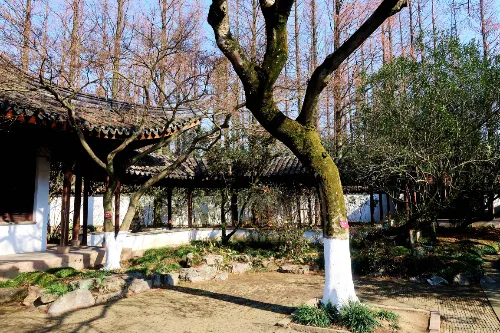 Rice Fragrance Village