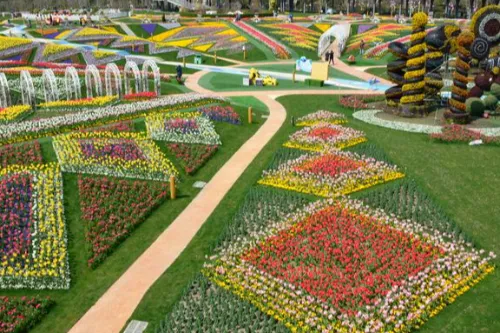 Miracle Flower Carpet