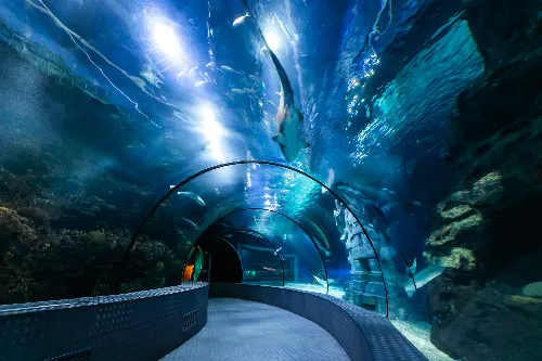 Shanghai Changfeng Ocean World - Shanghai Tourist Attraction