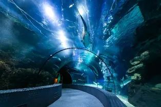 Shanghai Changfeng Ocean World - Shanghai Tourist Attraction
