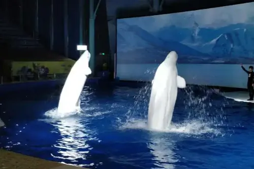 Beluga Performance Hall