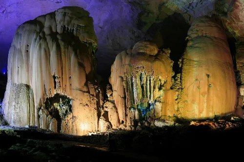 Longevity Star Palace