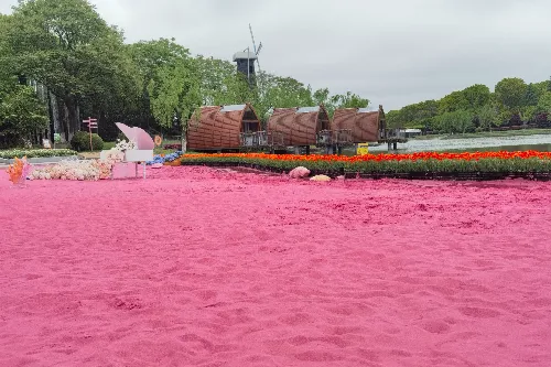 Pink Sand Beach