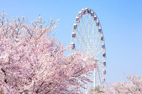 Gucun Park - Shanghai Tourist Attraction
