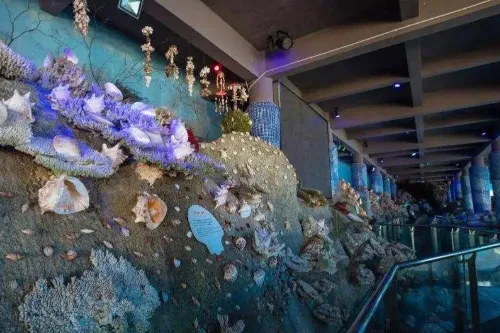 Coral Museum and Underwater Porcelain Museum
