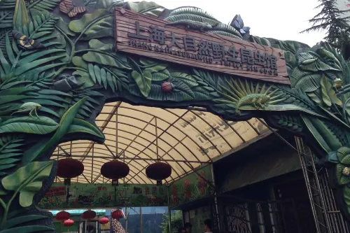 Shanghai Nature Wild Insect Museum - Shanghai Tourist Attraction