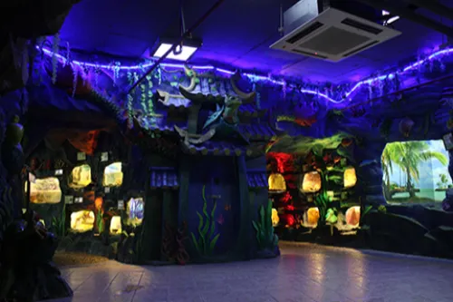 Tortoise & Soft-Shelled Turtle Exhibition Area