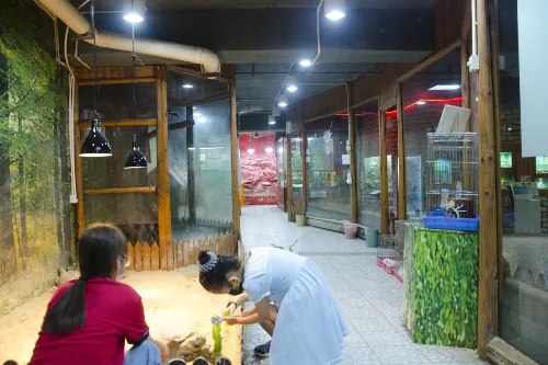 Ecological Touching Area