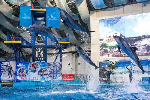 合肥海洋世界 - 安徽旅遊景區