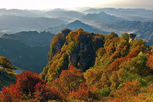 红桦林