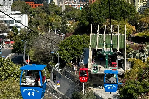 Lower Station Service Area