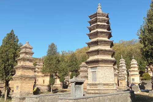 Shaolin Pagoda Forest
