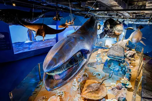 Xiamen Science and Technology Museum - Fujian Tourist Attraction