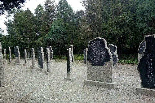 Oracle Bone Inscription Forest