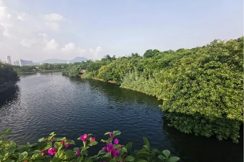 Ecological Wetland