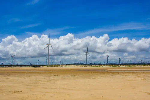 Changjiang'ao Windmill Field