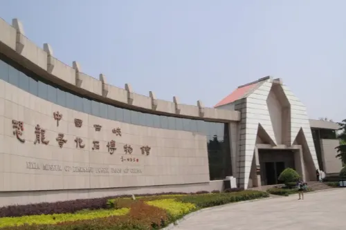 Dinosaur Egg Fossil Museum