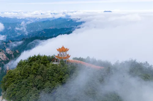 Cloud Sea Spectacle