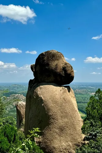 Stone Monkey Garden