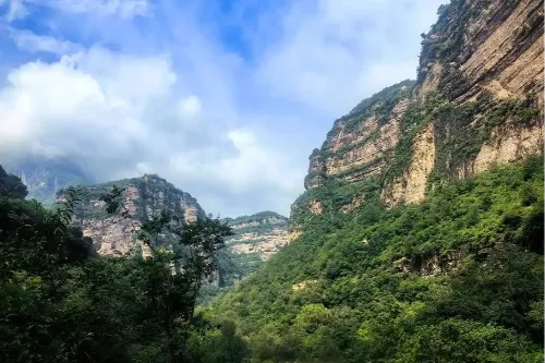 Peach Blossom Valley