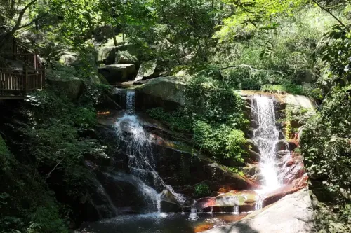 Longevity Valley