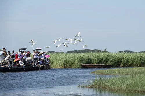 Red-crowned Crane Release Area