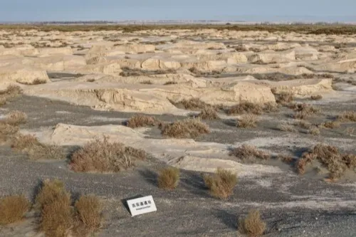 Ancient Irrigation Canal System Relics