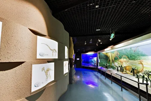 Paleontological Fossil Exhibition Hall