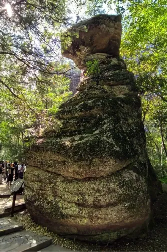 Linhai Guanyin (Guanyin in the Forest Sea)
