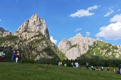Fairy Meadow