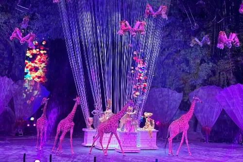 Chimelong International Circus Guangzhou - Guangdong Tourist Attraction
