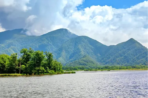 Dajiuhu Wetlands