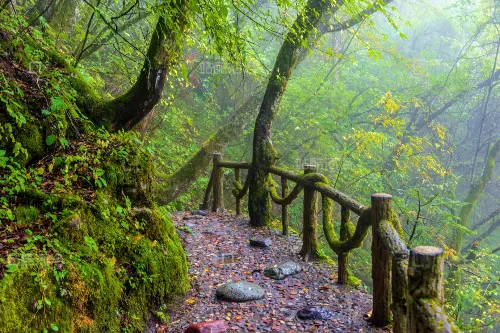 Golden Monkey Ridge