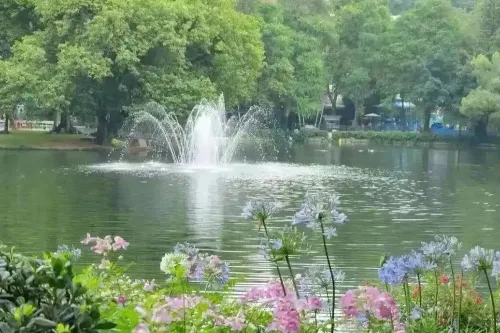 Artificial Lakes
