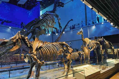 Permanent Exhibition of Guangdong Natural Resources