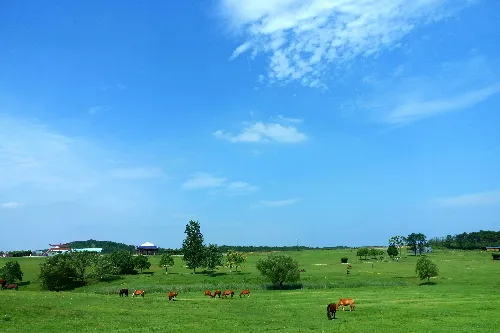 Mulan Grassland