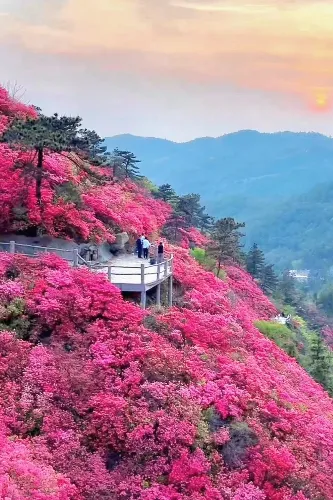 Mulan Yunwu Mountain (Cloud and Mist Mountain)