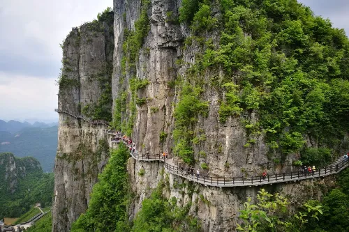 Cliffside Plank Path