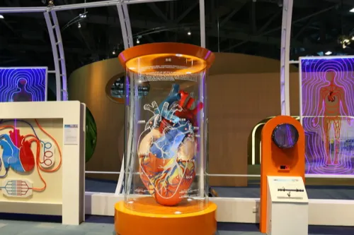 Human and Health Exhibition Hall