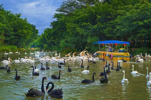 Chimelong Birds Park