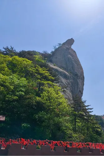 龜首