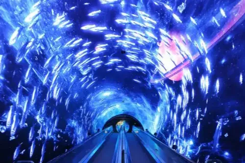 Grandview Polar Ocean World