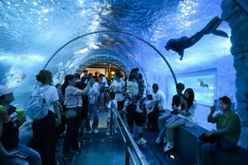 Underwater Tunnel