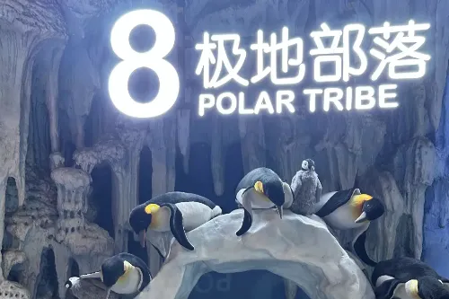 Polar Tribe