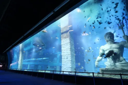 Deep Sea Wonder