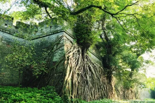 Ancient Ming Dynasty City Wall Ruins